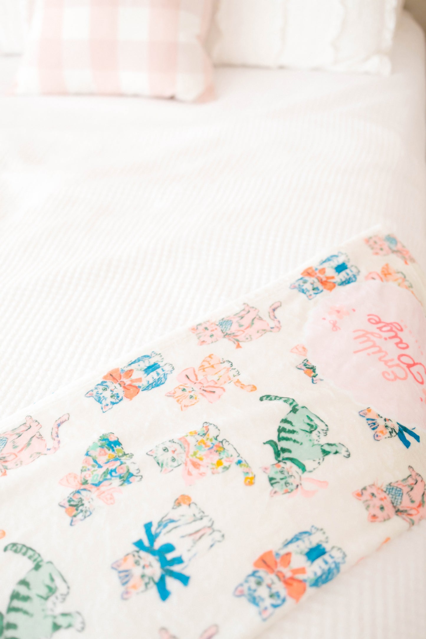 Emily Paige Designs Minky Blankets