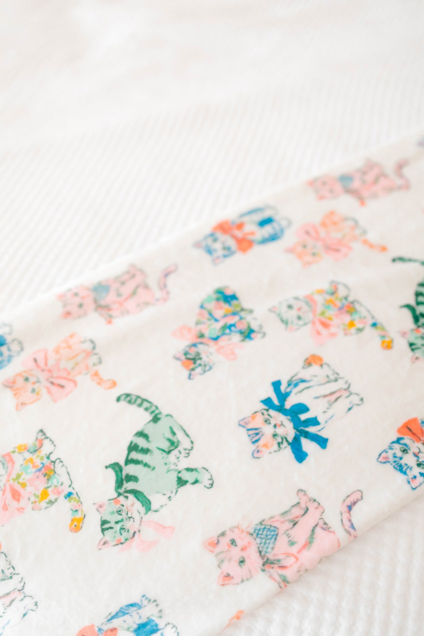 Emily Paige Designs Minky Blankets